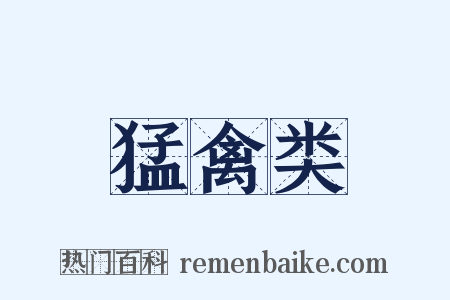 猛禽类是什么意思的图片
